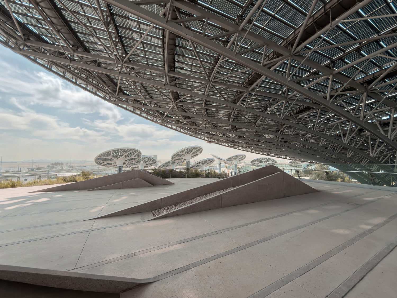 Terra canopy view