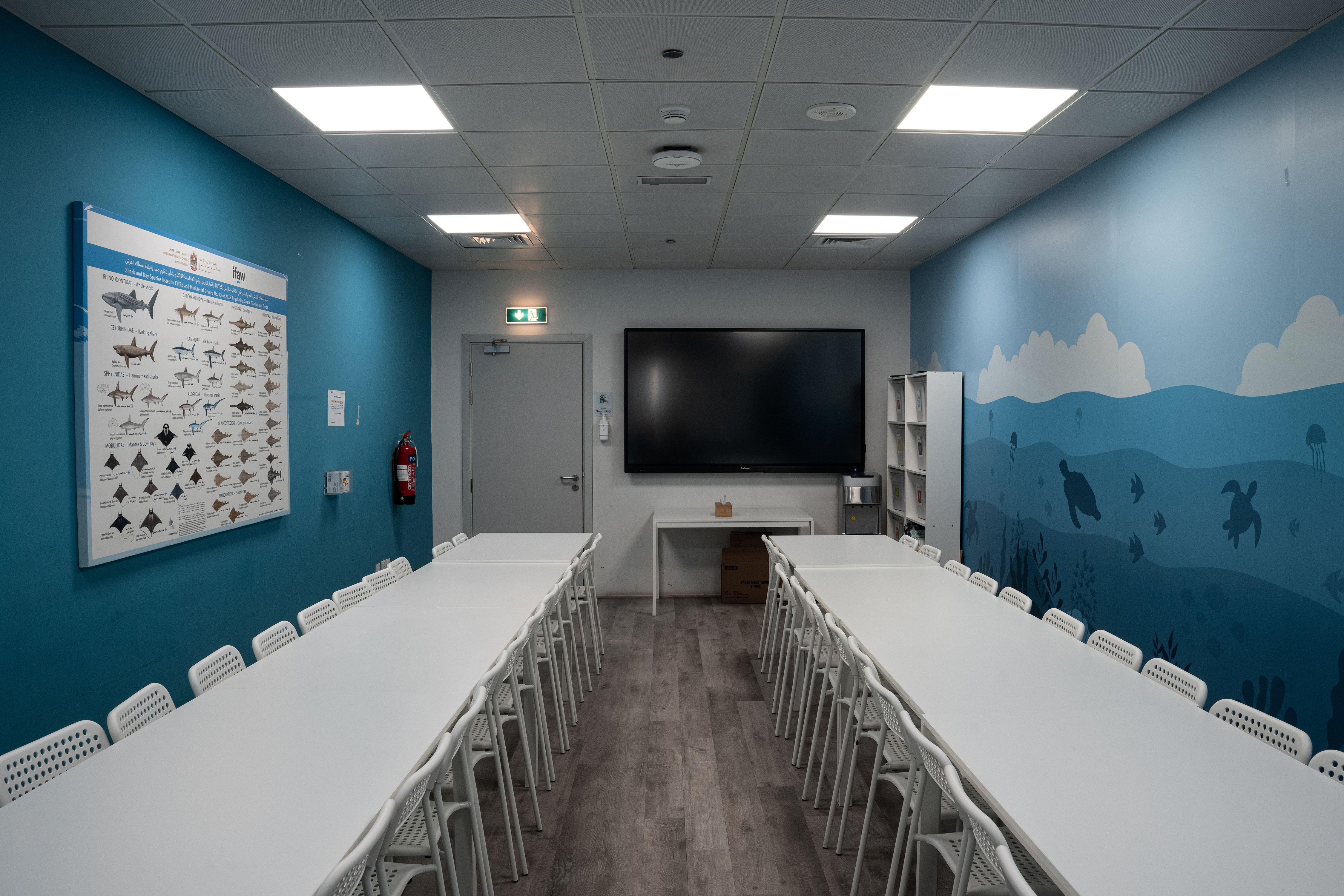 Conference room with aquarium wall graphics