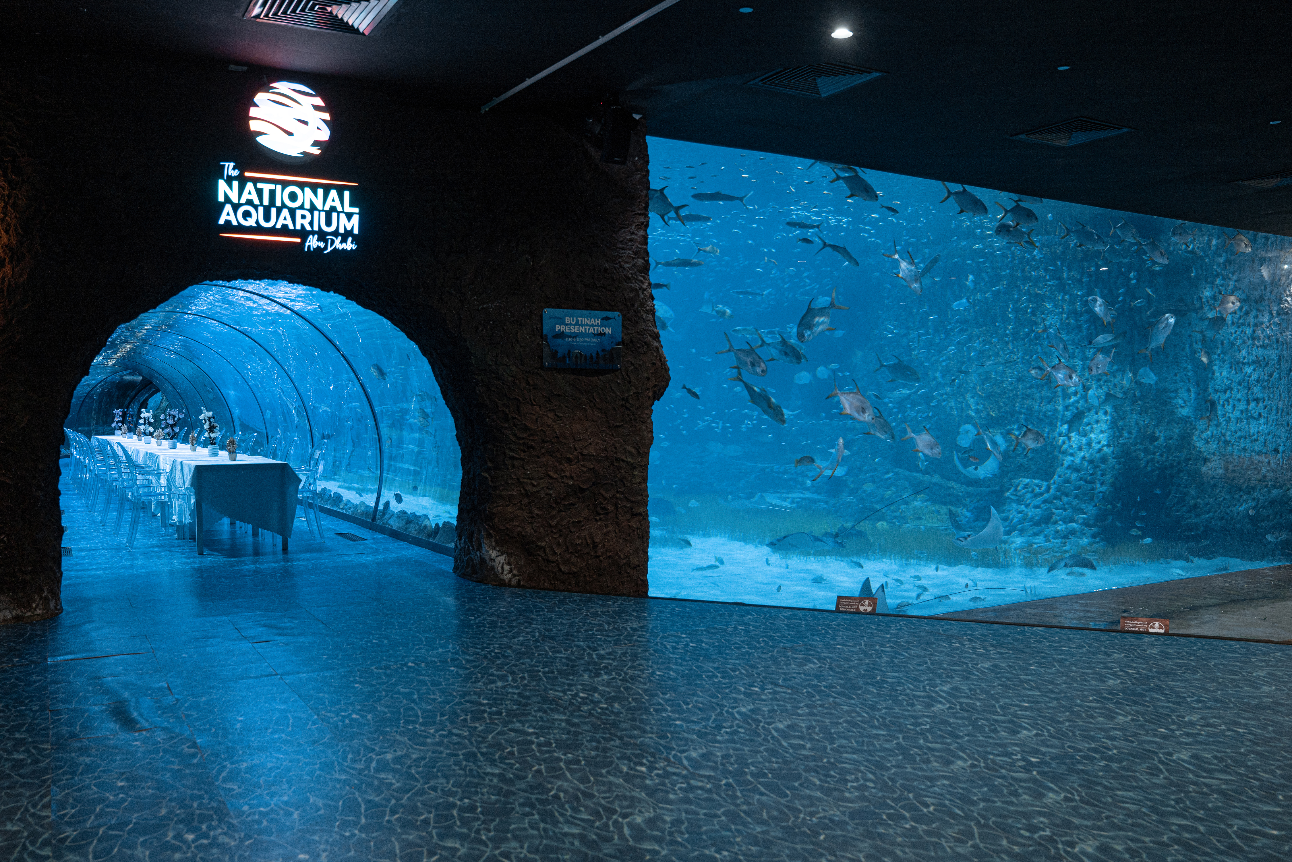 Dinner setup beside large aquarium viewing panel