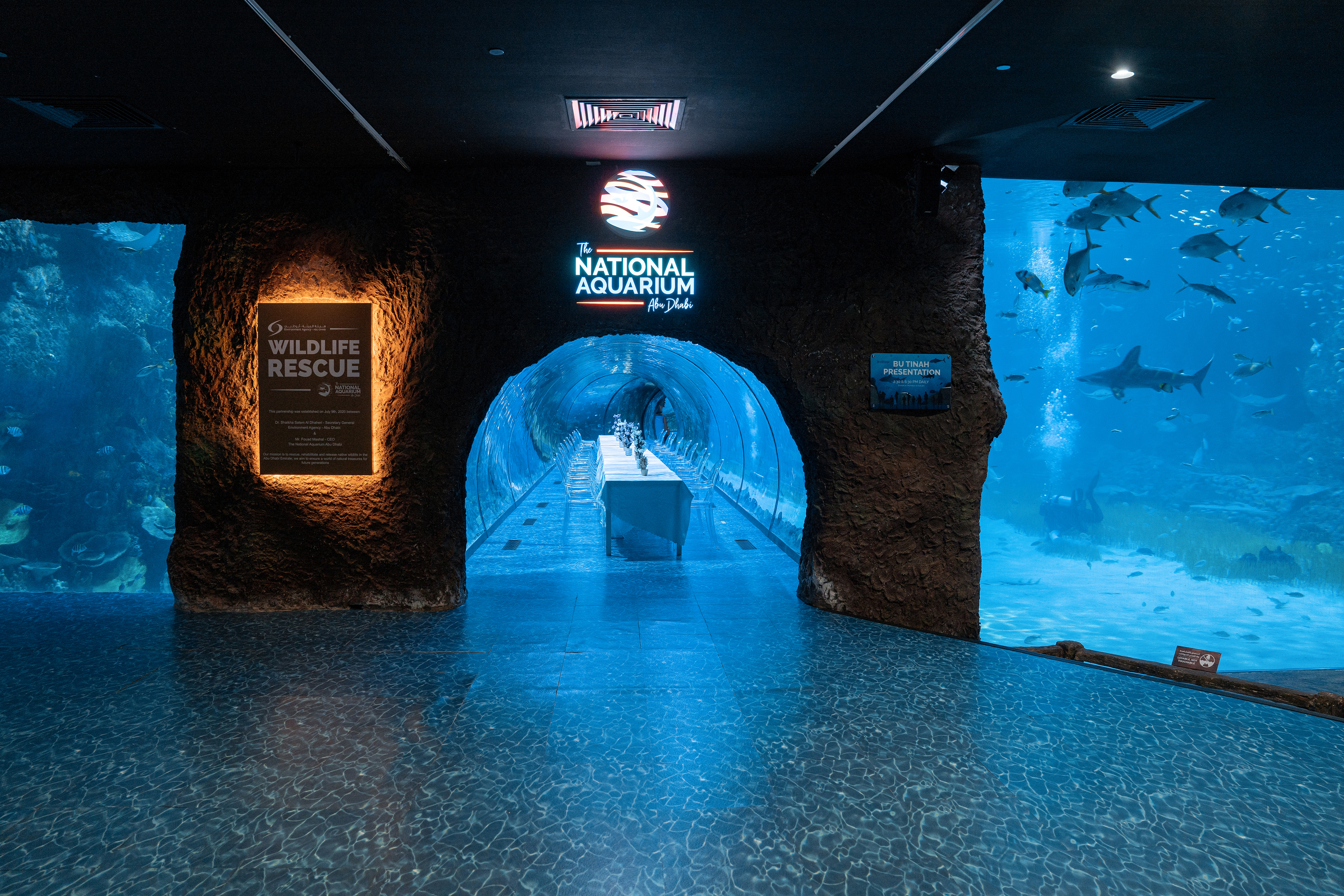 Gallery entrance with aquarium view