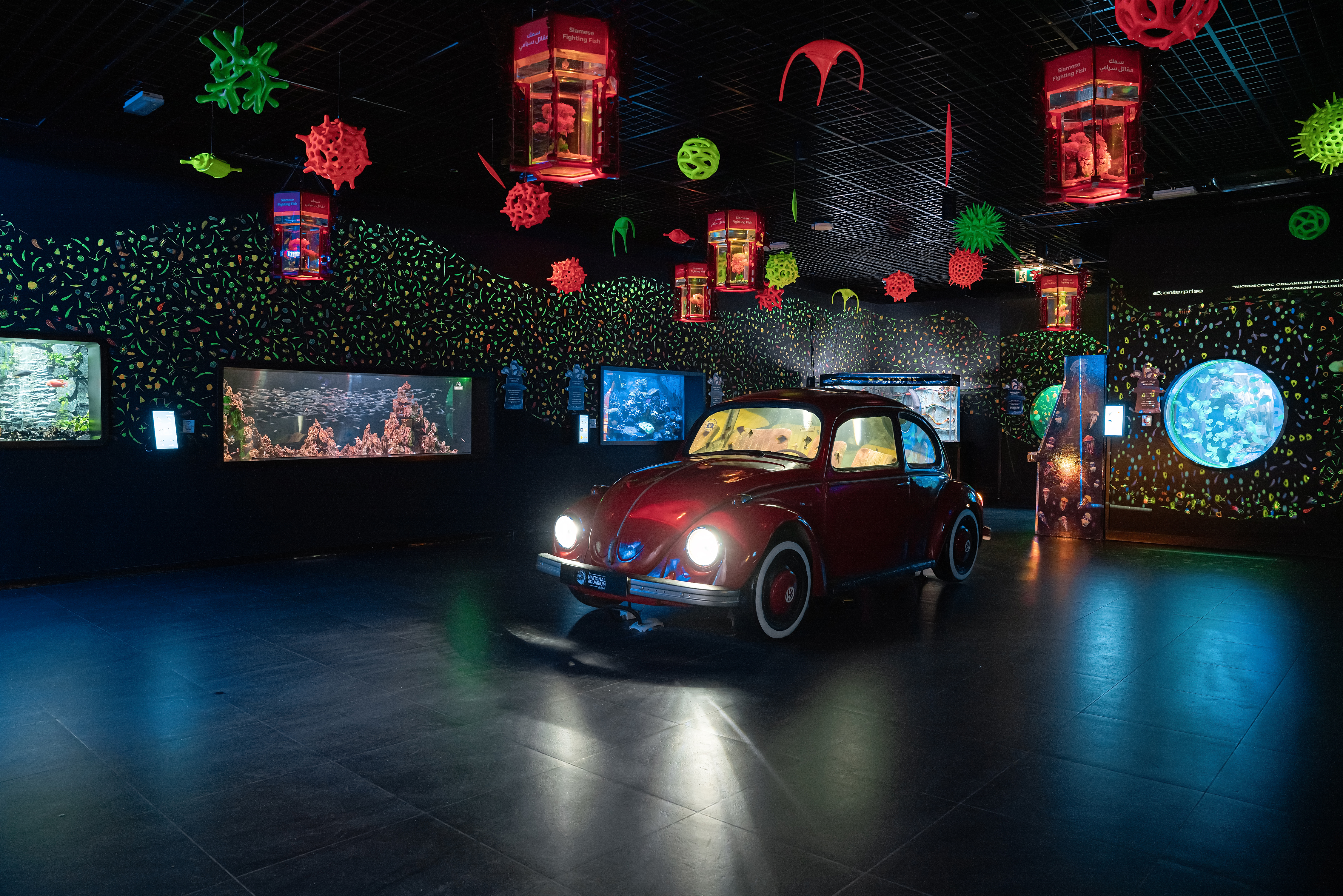 Themed activation space inside aquarium