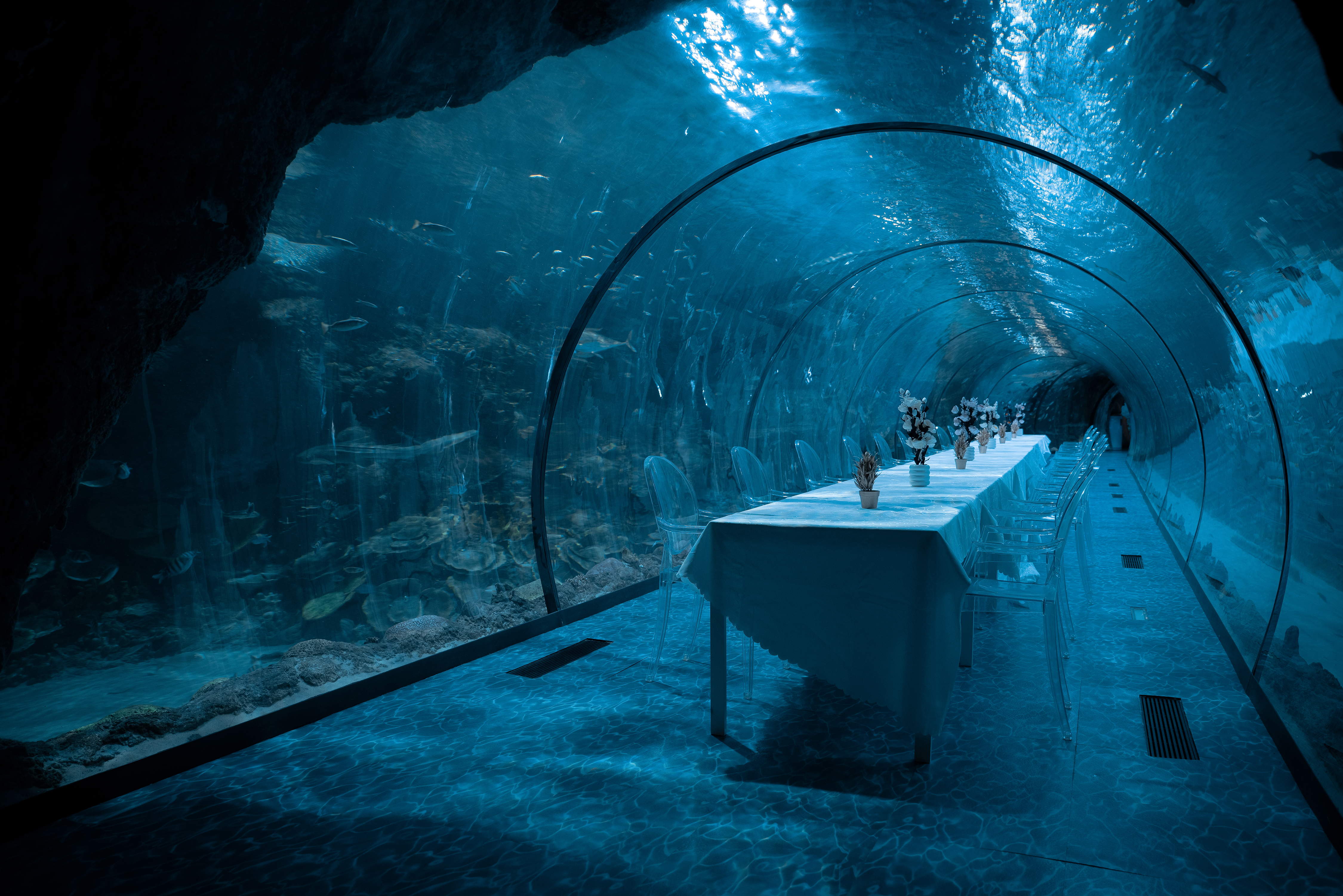 Dining setup inside the aquarium tunnel